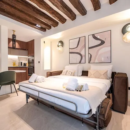 Daire Luxury Marais Paris